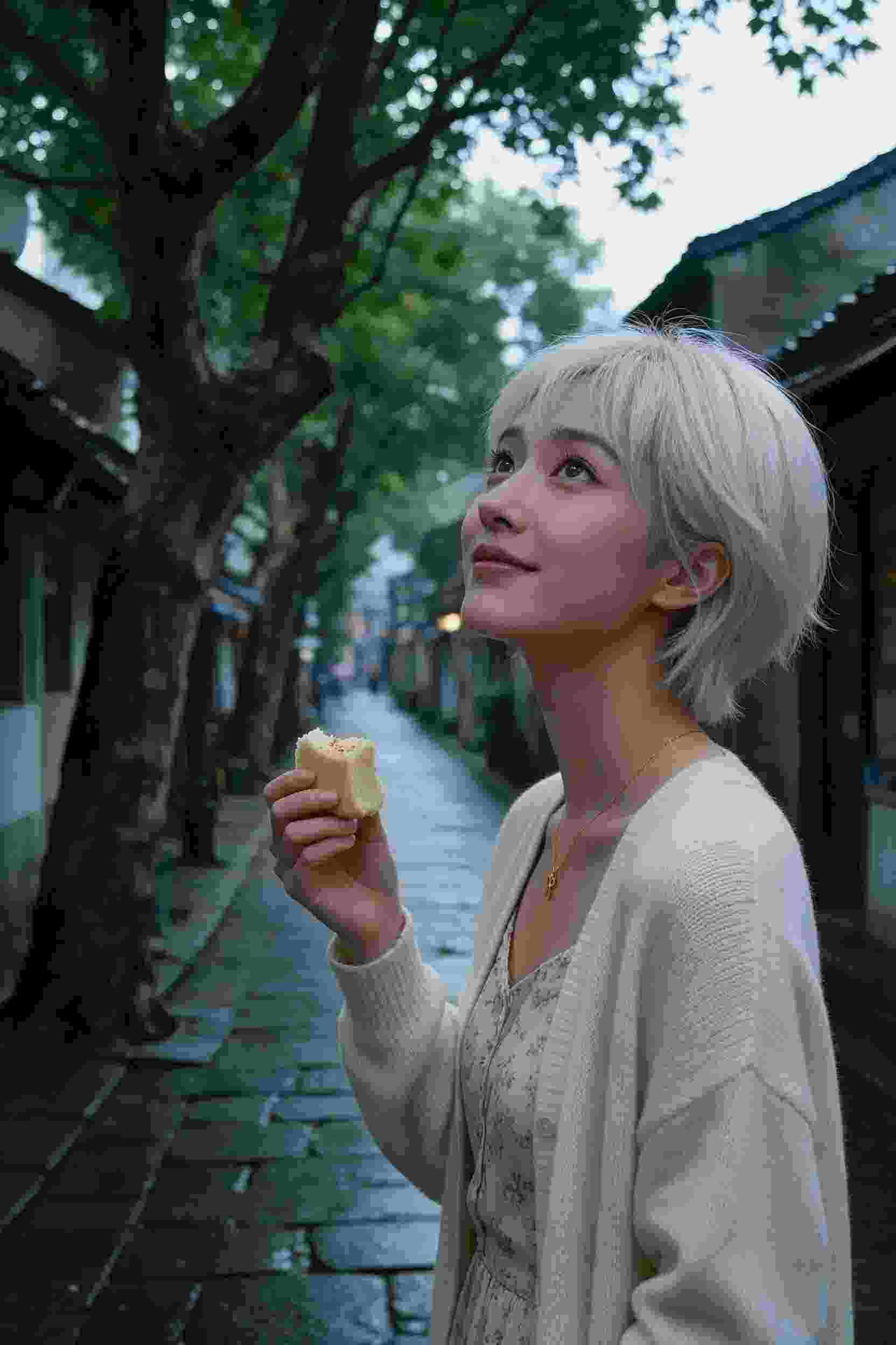 番剧