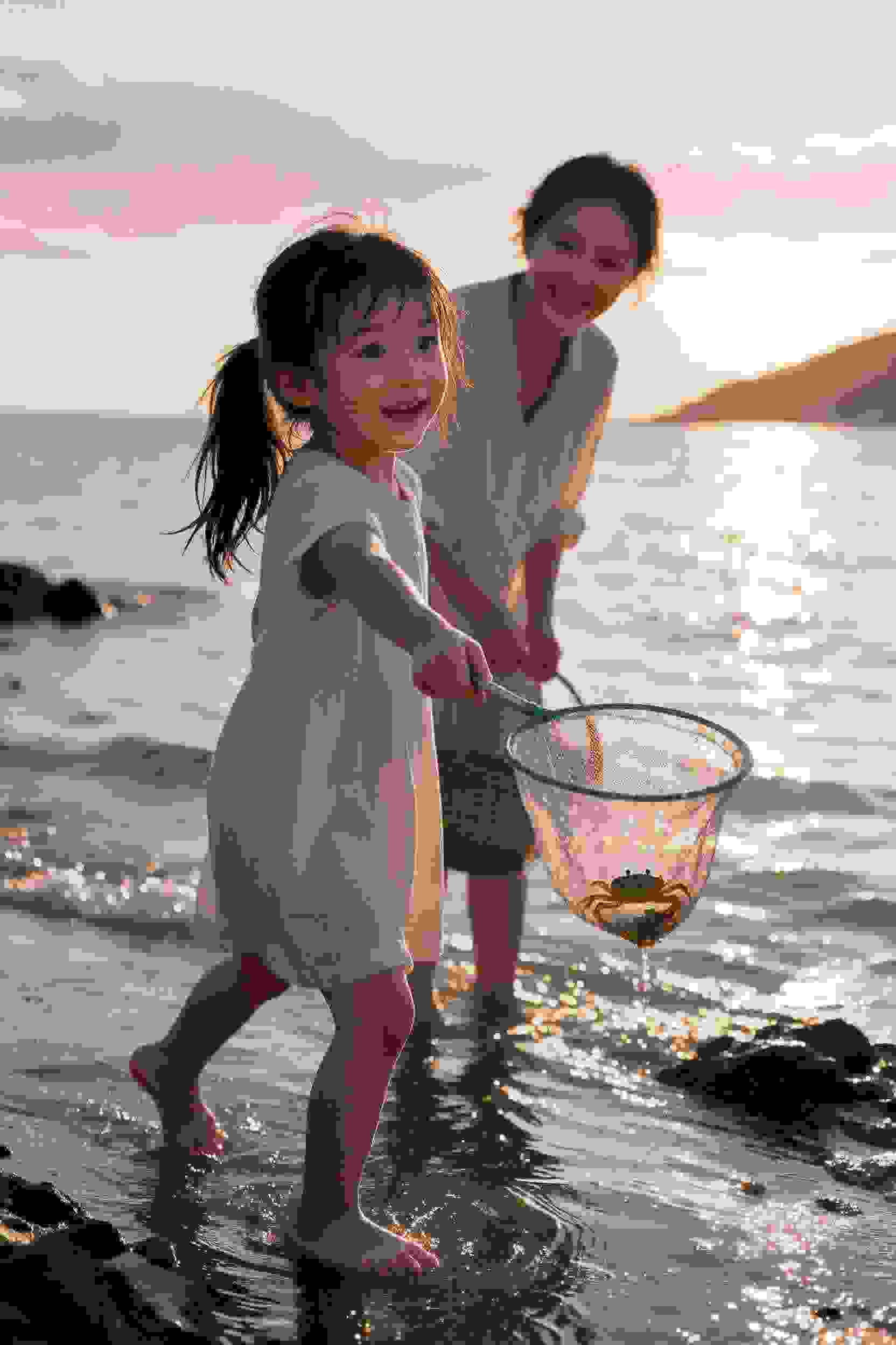 动画