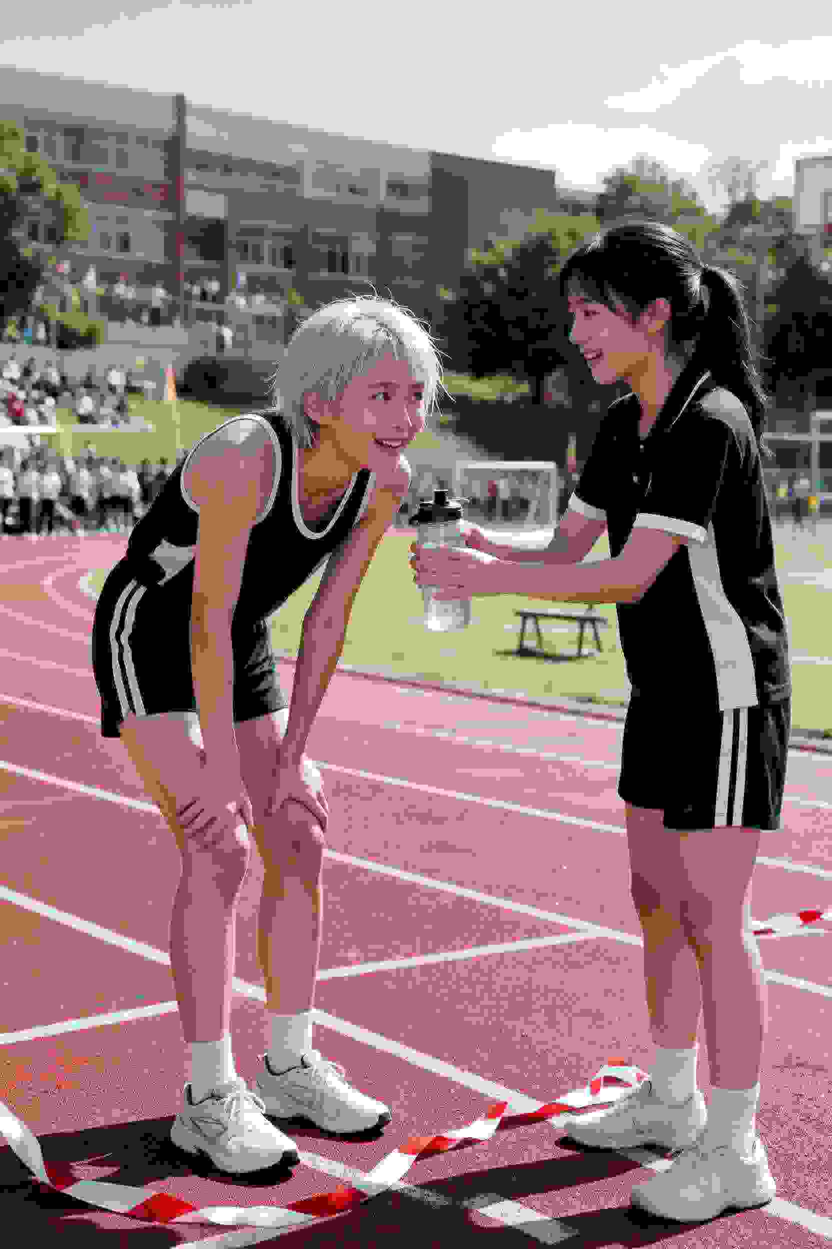 动画